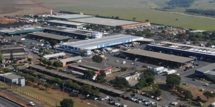 Concurso Ceasa Campinas SP abre vagas em todos os níveis! Até R$ !