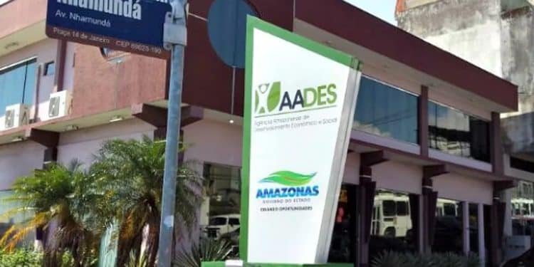 Processo seletivo Aades AM abre vagas! Salários de até R$ !