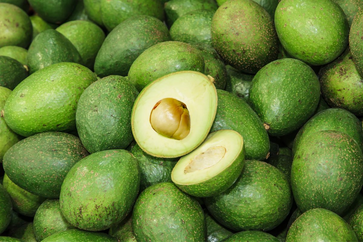 Abacate escuro - Reprodução Canva