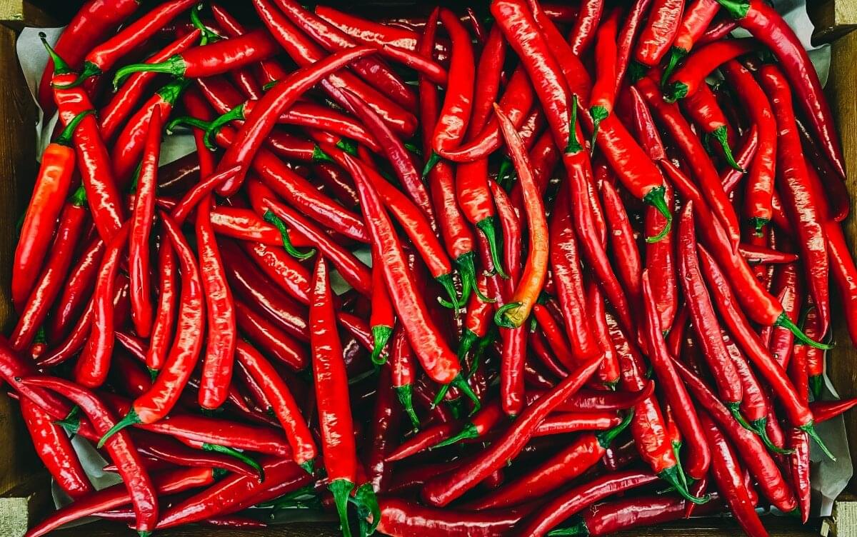 Pimenta - Reprodução Freepik