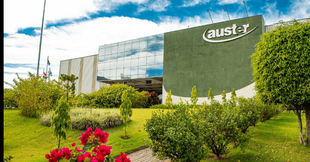 Auster