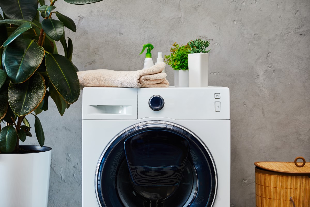 Máquina de lavar - Reprodução Adobe Stock