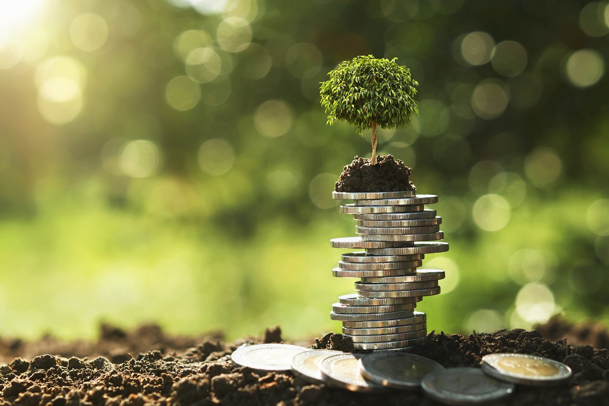 Para receber esse valor, as pessoas precisam se comprometer a ajudar na preservação da natureza - Reprodução AdobeStock