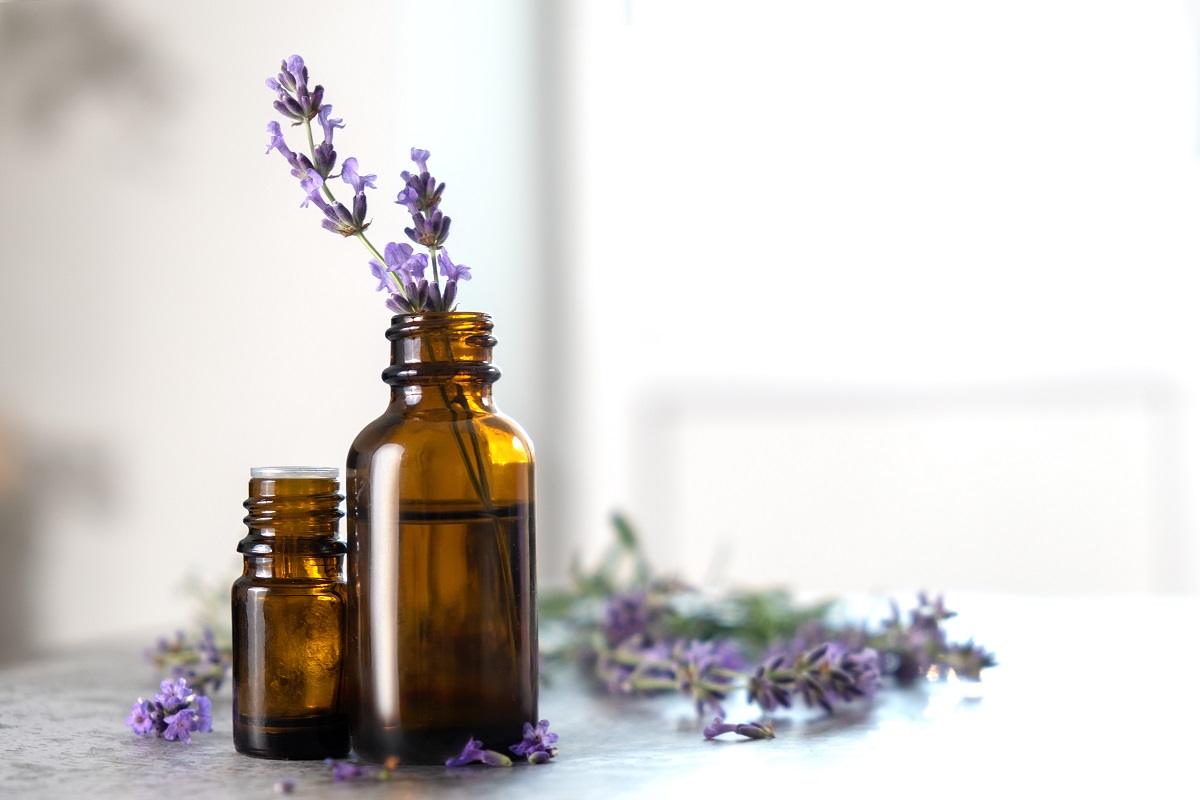 Ter plantas como a lavanda em casa ajuda a repelir os insetos - Reprodução AdobeStock