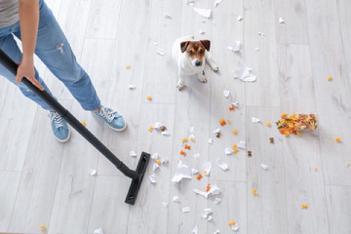 Como deixar piso brilhando - Reprodução Adobe Stock