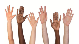 Cotas Raciais IMG I concursos da USP sem cotas