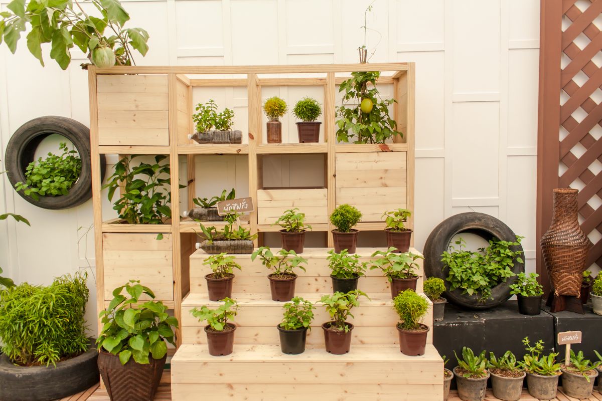 horta em apartamento sem dificuldade - Reprodução Canva