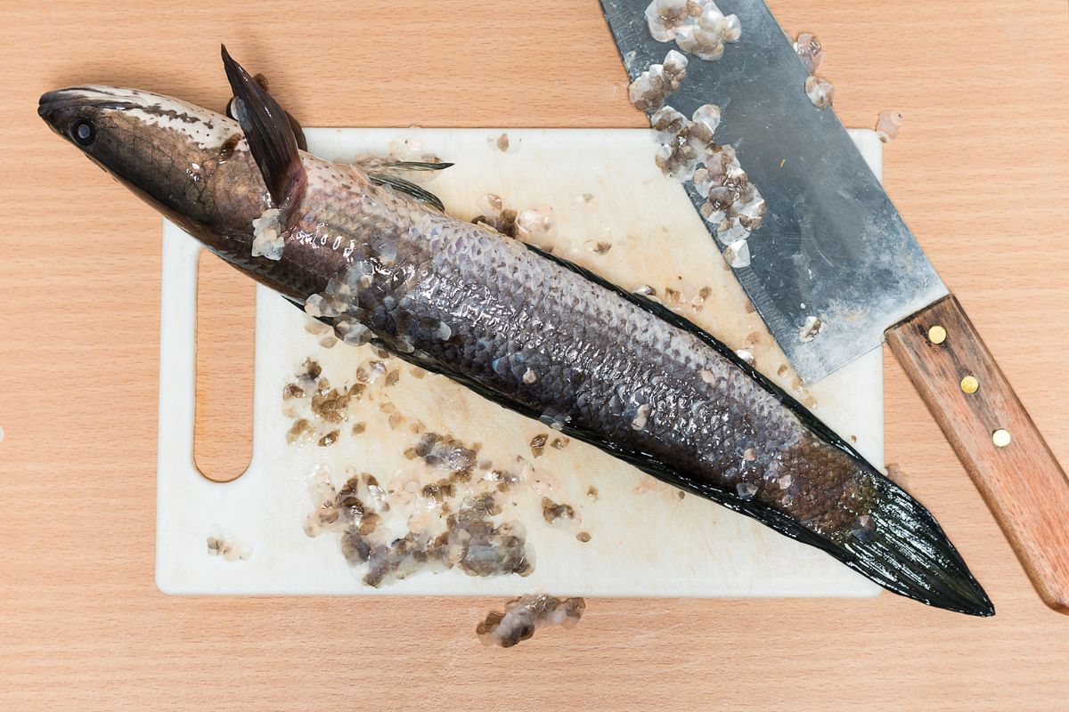 retirar escamas de peixe-Reprodução Canva