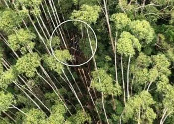 ENCONTRADO! Polícia Militar localiza helicóptero no 12º dia de buscas