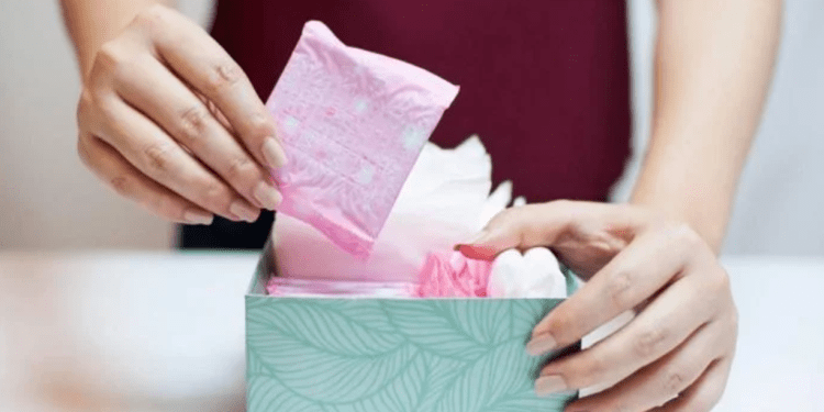 Programa garante absorventes gratuitos para público do Cadastro Único; veja como funciona