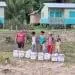 MDS entrega cestas de alimentos para região EM EMERGÊNCIA; saiba qual é