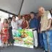 PAA garante alimentos saudáveis para população em vulnerabilidade; saiba mais