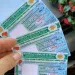 10 MIL Pessoas têm Direito a Obter CNH Gratuitamente; Verifique se Você está na lista
