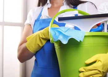 Previdência Social: Existe diferença entre diaristas e empregadas domésticas?