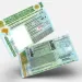 CNH para Idosos: Conheça as Novas Regras em Ação