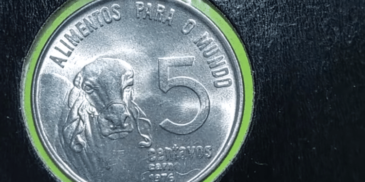 Aproveite a oportunidade e VENDA sua MOEDA de 5 Centavos! Valores atualizados 2024