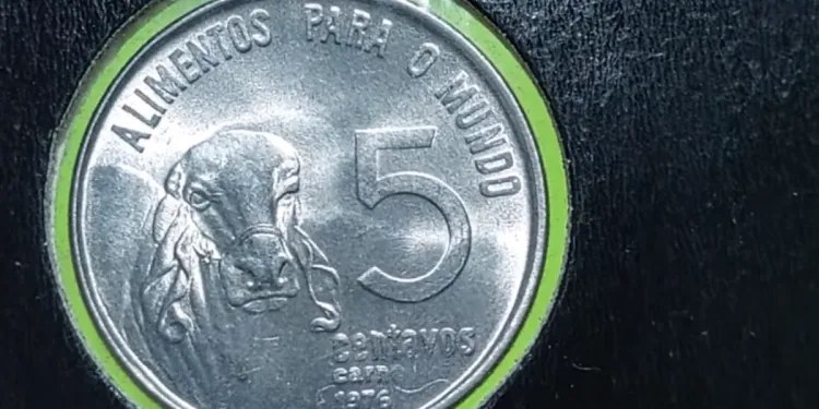 Aproveite a oportunidade e VENDA sua MOEDA de 5 Centavos! Valores atualizados 2024