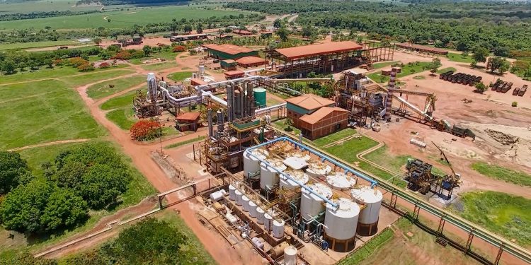 Usina Coruripe: mais de 70 vagas para trabalhar com cana-de-açúcar