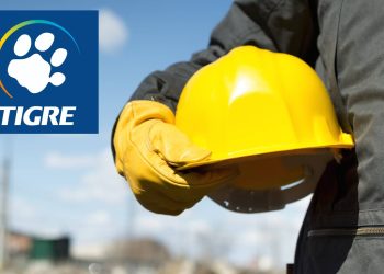 Grupo Tigre abre vagas. Há oportunidade de trabalhar no exterior!