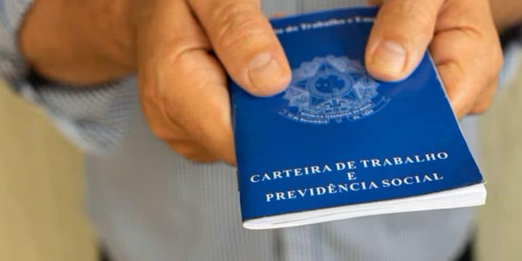 Oportunidade de Emprego: Concurso Público Oferece 178 Vagas em Diversas Áreas