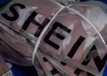 Schein Oferece Vaga HOME OFFICE; Saiba como se inscrever