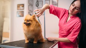 As vagas para ensino fundamental na Petz são excelentes para quem ama animais.