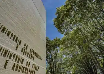 Confira os principais detalhes do edital do Concurso MPA; Imagem: Agência Gov.