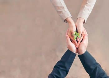 VAGAS SUSTENTÁVEIS: trabalhe ajudando o meio ambiente