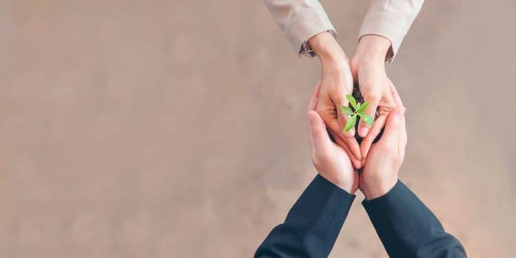 VAGAS SUSTENTÁVEIS: trabalhe ajudando o meio ambiente