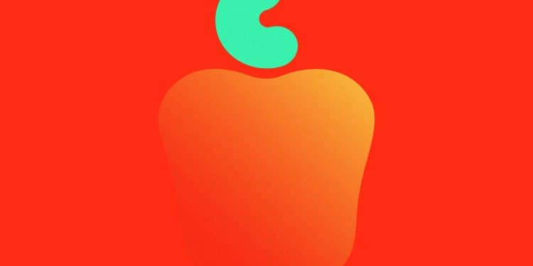 Cansado do trânsito? Trabalhe de casa com a Caju e tenha horário flexível!