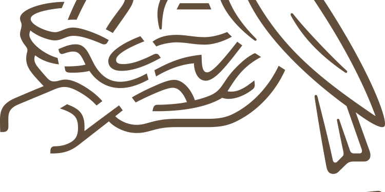 Quer trabalhar na Nestlé? Empresa abre mais de 2.500 vagas para brasileiros e estrangeiros 1 Quer trabalhar na Nestlé? Empresa abre mais de 2.500 vagas para brasileiros e estrangeiros