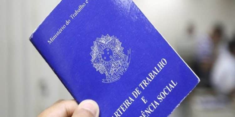 Paraíba Contrata: Sine-PB com mais de 400 Vagas de Emprego Esperando por Você