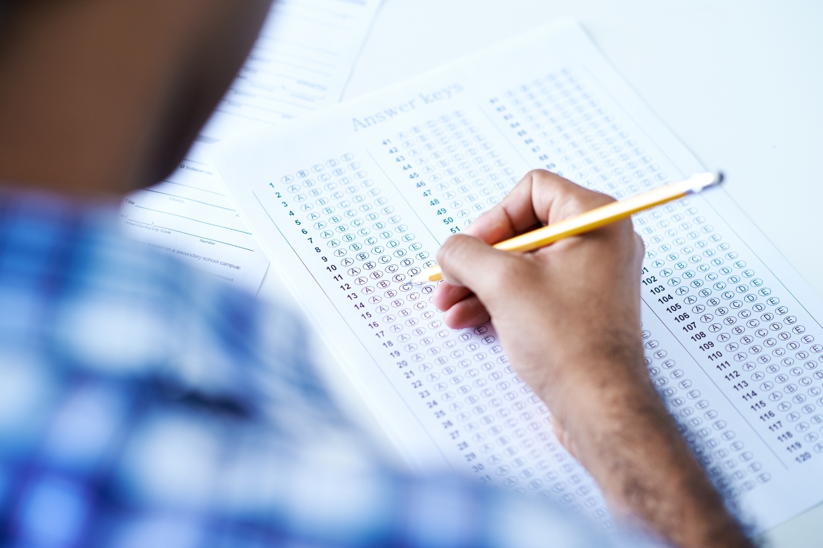 Saiba como se preparar para o Concurso ICMBio; Imagem: Canva