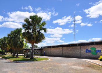 Concurso Embrapa tem avanços! Imagem: Agência Brasil