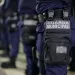 Dois concursos Guarda Municipal! Imagem: Governo Federal