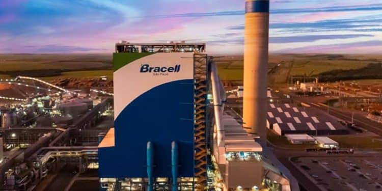 Bracell abre vagas em processo seletivo para contratação de profissionais