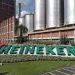 heineken ALAGOINHAS