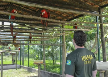 Concurso IBAMA! Imagem: Agência Brasil