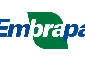 Vem aí: edital do Concurso Embrapa com mais de mil oportunidades!