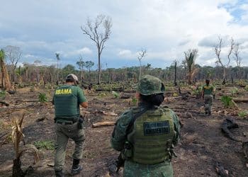 Concursos Ibama e ICMBio. Imagem: Governo Federal