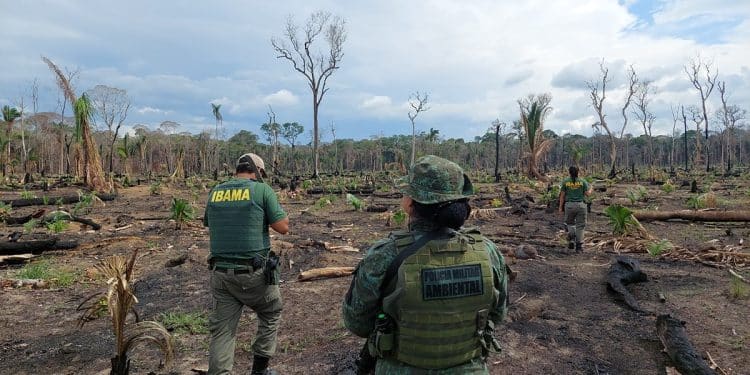 Concursos Ibama e ICMBio. Imagem: Governo Federal