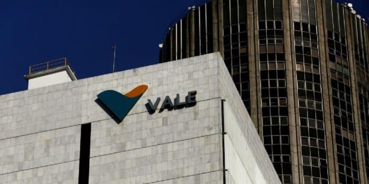 Vale Imagem Instituto Minere