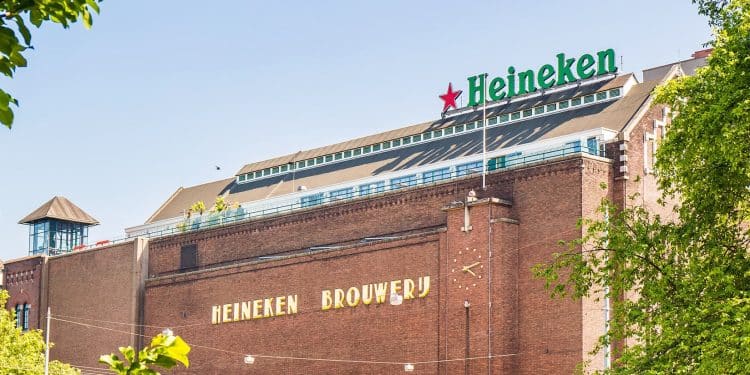 heineken