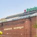 heineken