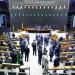 MP: Isenção de tributos para medicamentos importados até US$ 50 termina neste sábado (26)