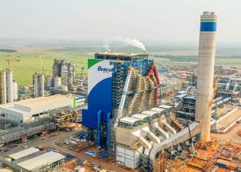 Bracell abre processo seletivo com remuneração de R$ 7,5 mil