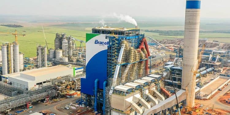 Bracell abre processo seletivo com remuneração de R$ 7,5 mil