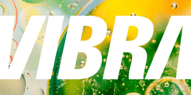 Inscrições abertas para o Programa de trainee da Vibra