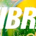 Inscrições abertas para o Programa de trainee da Vibra