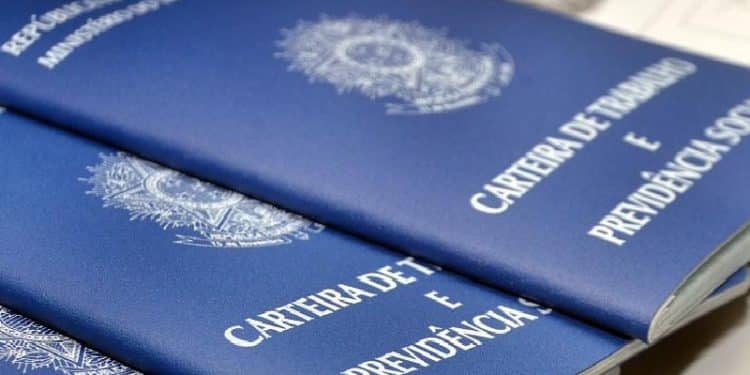 Emprego com uma variedades de setores,níveis de experiência e faixas salariais. Imagem: Governo Federal